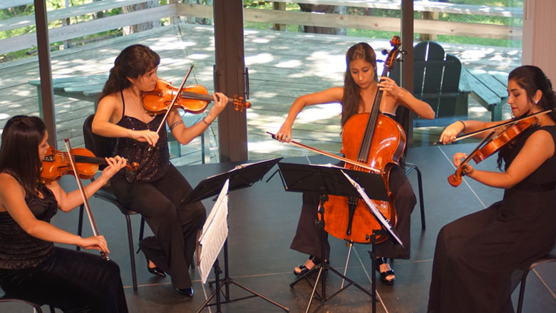 Chamber Music Programs for Strings and Woodwinds