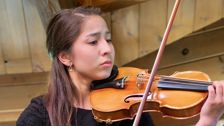 Violin at Madeline Island Chamber Music